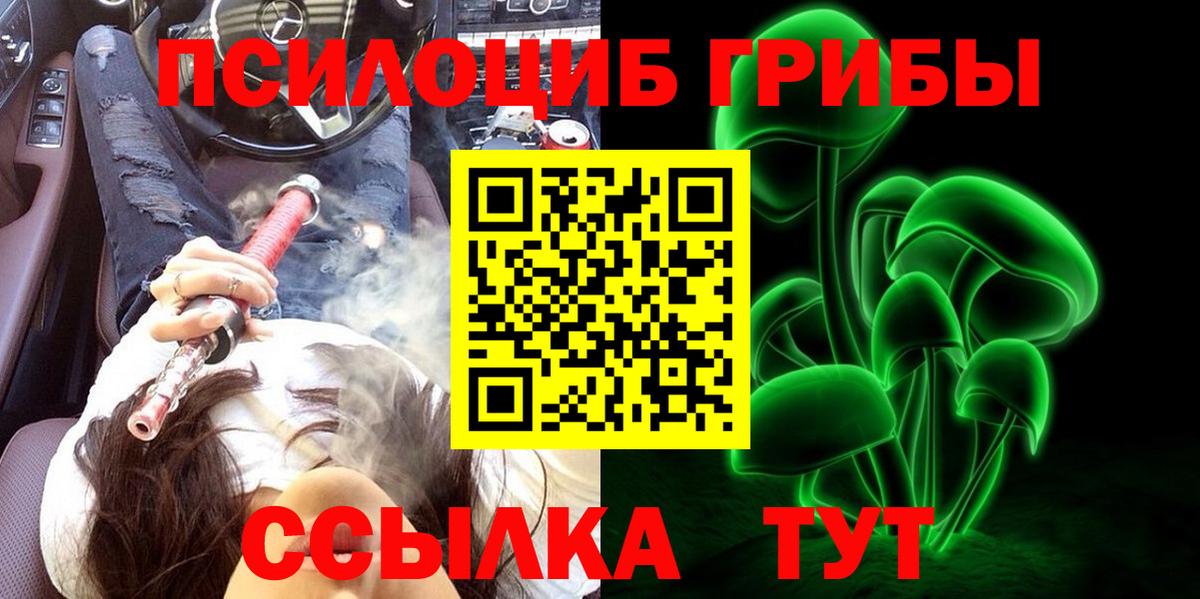 Псилоцибиновые грибы Psilocybe Чапаевск