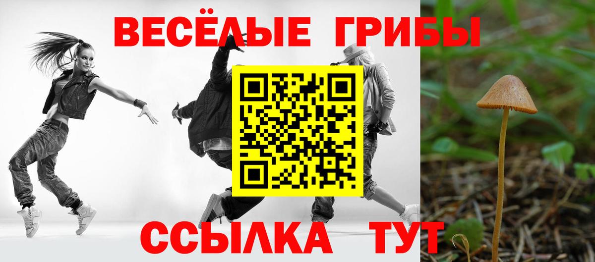 Псилоцибиновые грибы Psilocybine cubensis  Вход с VPN  Чапаевск 